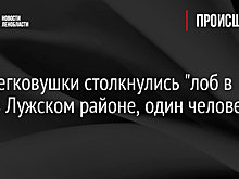 Две легковушки столкнулись "лоб в лоб" в Лужском районе, один человек погиб