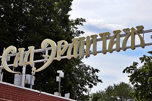 Международный Платоновский фестиваль искусств в Воронеже перенесли на 2023 год