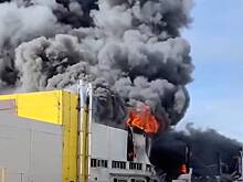 Мощный пожар возле места проведения чемпионата России по конной выездке попал на видео