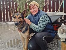 Возвращение Амура
