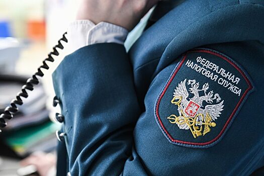 Система «Налог-3»: игра по-крупному