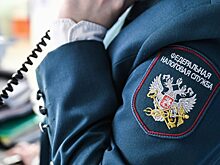 Система «Налог-3»: игра по-крупному