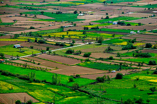 Росреестр назвал самые частые нарушения при использовании участков в Нижегородской области