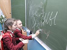 Правда или ложь: зимние каникулы в нижегородских школах продлят до 25 января?