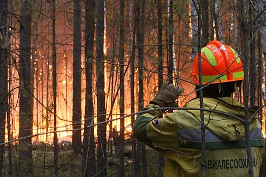 В Оренбургской области пожары приближаются к населенным пунктам