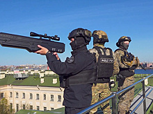 «Часть рынка начнет умирать»: инженеры не поддерживают проект о праве силовиков сбивать любые дроны