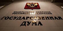 Госдума приняла в первом чтении законопроект о поиске людей по геолокации