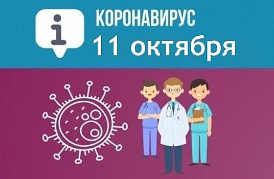 За сутки в Севастополе выявили 247 новых случаев COVID-19