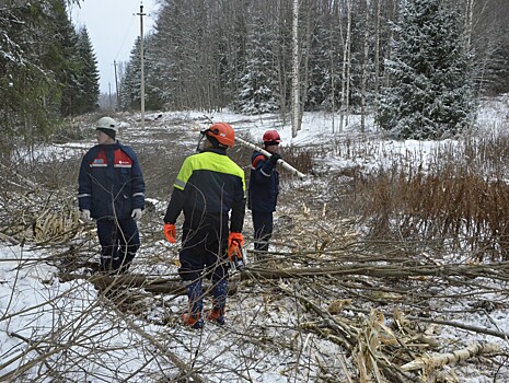 В Тверской области заменили 560 километров проводов