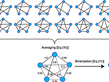 Новый подход в изучении нейронных связей поможет бороться с депрессией