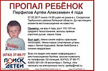 4-летнего Артема Перфилова, пропавшего в Липецкой области, нашли мертвым