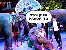 О дивный новый цирк. Останутся ли звери в цирке будущего?