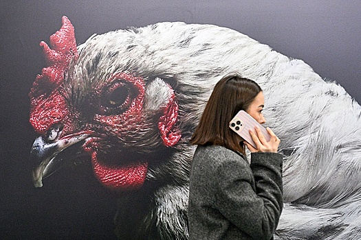 СПЧ: Идея записи телефонных разговоров может нарушить тайну личной жизни