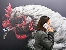 СПЧ: Идея записи телефонных разговоров может нарушить тайну личной жизни