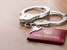 В РФ могут снизить возраст уголовной ответственности по некоторым статьям