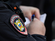 Сотрудника центра Дианы Гурцкая обвинили в ДТП