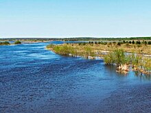 В Бурятии нашли уплывшую на моторной лодке ши-тцу