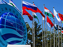 Страны ШОС разработали план совместных действий по борьбе с эпидемиями