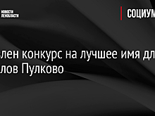 Объявлен конкурс на лучшее имя для символов Пулково