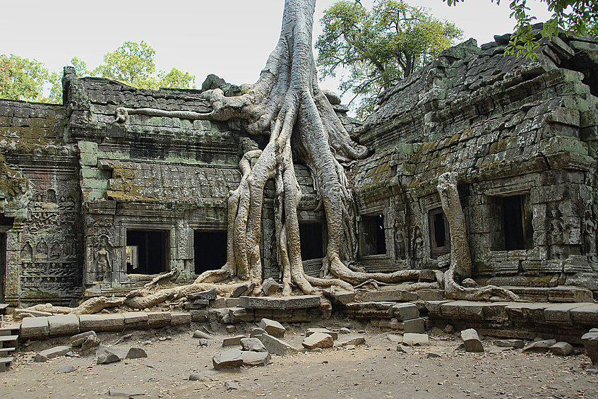 Храм Та Пром (Камбоджа).