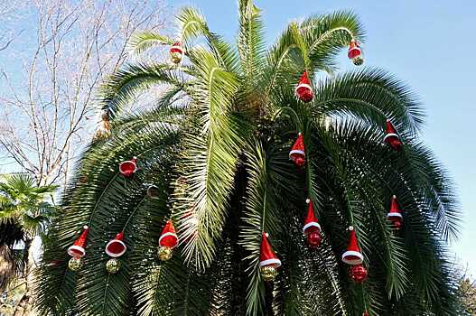 Отели и билеты на Новый год стремительно дорожают