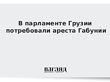 В Грузии потребовали ареста Габунии