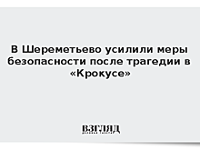 В Шереметьево усилили меры безопасности после трагедии в «Крокусе»