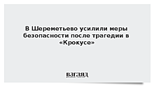 В Шереметьево усилили меры безопасности после трагедии в «Крокусе»