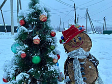 18 деревень городского округа Чехов поучаствовали в конкурсе на лучшее новогоднее оформление
