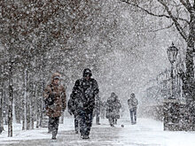 Синоптики предупредили о мокром снеге в Москве