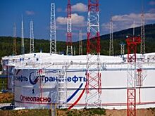 Труд челябинских нефтепроводчиков отметили правительственными наградами