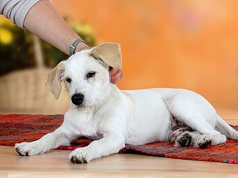 В Новосибирске открылось первое в России песокафе