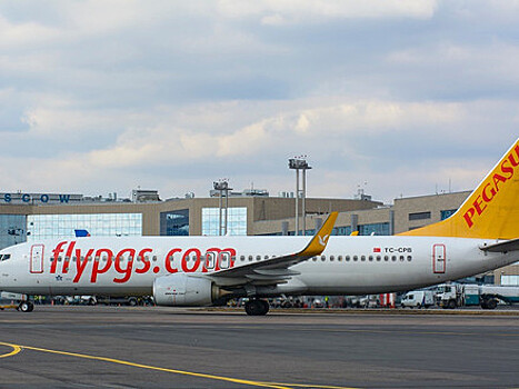 Авиакомпания Pegasus Airlines возобновляет полетную программу из аэропорта Домодедово