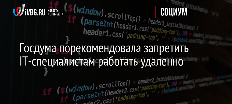 Госдума порекомендовала запретить IT-специалистам работать удаленно