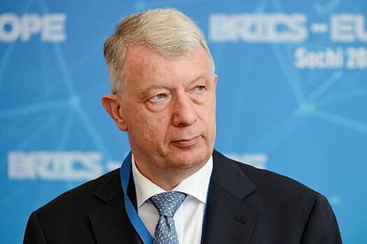 Евродепутат направил Каллас письмо с призывом по России