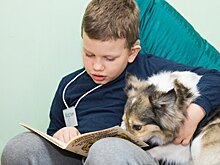 "Чтобы не боялись говорить": в Калининграде слабослышащие дети читают собакам сказки