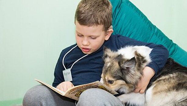 "Чтобы не боялись говорить": в Калининграде слабослышащие дети читают собакам сказки