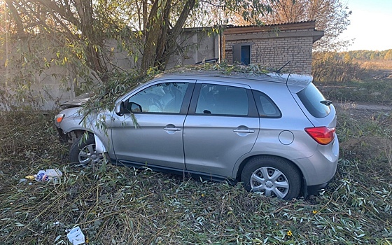 В Скопине 81-летний водитель Mitsubishi врезался в дерево