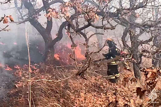 В Хасанском округе Приморья ввели режим повышенной готовности из-за пожаров
