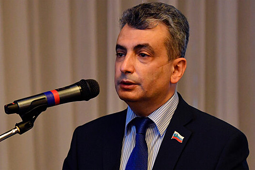 Зампреду партии "Яблоко" Шлосбергу назначили 420 часов обязательных работ