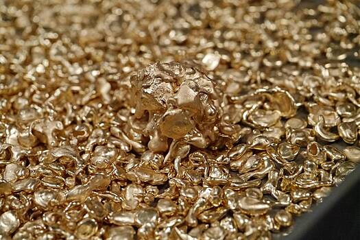 Российский пенсионер захотел помочь раскрыть преступление и потерял килограмм золота