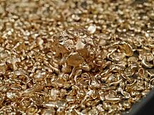 Российский пенсионер захотел помочь раскрыть преступление и потерял килограмм золота