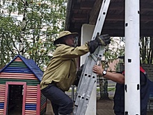 Шумную группу полосатиков из костромского детского сада увезли в лес от греха подальше