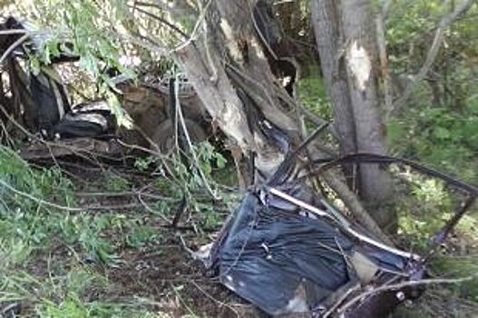 В Сивинском районе автомобиль врезался в дерево, погиб пассажир