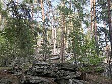 Открыт прием работ на IX фотоконкурс РГО "Самая красивая страна"