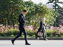 Число индивидуальных предпринимателей в Москве в 2018 году выросло на 15 процентов