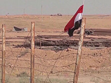 Россия и Тунис обсудили возвращение Сирии в ЛАГ