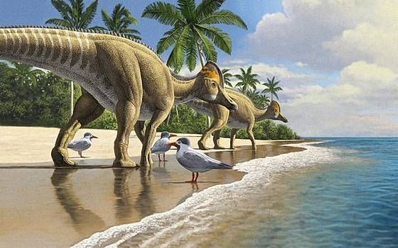 Динозавры могли переплывать океаны