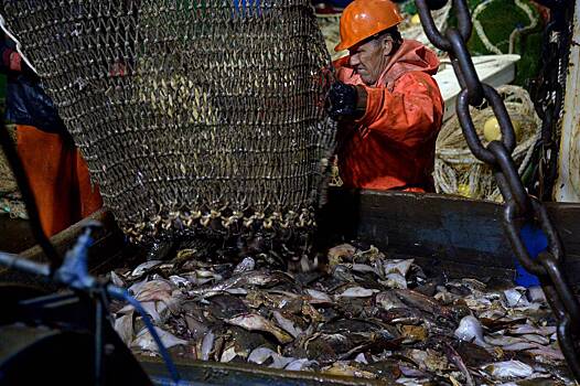 Падение прибыли российских рыбаков объяснили