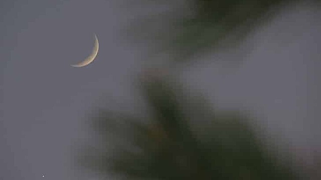 Поцелуй Венеры и Луны сфотографировали над Новосибирском в ночь на 24 мая